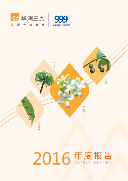 尊龙时凯：2016年年度报告
